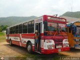 Transporte Colectivo Camag 11