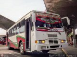 Expresos Delicias 99