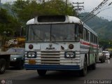 Particular 469 Blue Bird All American FE Chevrolet SM461V