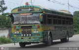 Expresos Gige 01