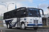 Transporte Virgen del Carmen 28