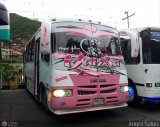 Particular o Desconocido DF-999 por �ngel Sal�n