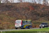 Transporte Flor de Barinas 24