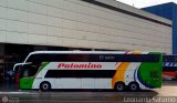 Expreso Internacional Palomino 7001