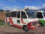 Unin Lnea Alberto Adriani C.A. 45 Fanabus Minimetro Ford B-350