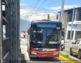 Trolmerida - Tromerca 5220