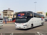 Expresos Pegamar 1007