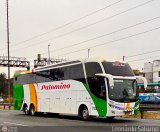 Expreso Internacional Palomino 7028