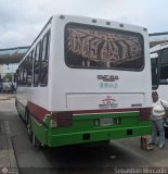 A.C. Transporte Central Morn Coro 054