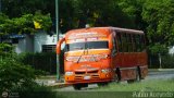 Colectivo Los Andes (Mrida - El Vigia) 11