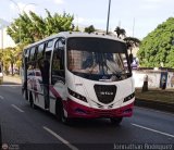 DC - AsoCoproColectivos 033