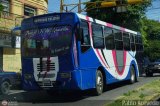 Expresos Delicias 13