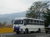 Transporte Virgen del Carmen 12