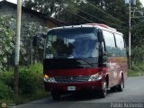 TU - Lnea Jardn de Venezuela 91 Yutong ZK6752D Integral Cummins ISLe 420-440Hp