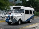 ME - A.C. Lnea Urbana Campo de Oro 22 Blue Bird Mini Bird Dodge D300