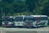 Garajes Paradas y Terminales Bejuma