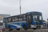 San Felipe Express S.A. 222 Modasa Titn 2014 Volkswagen 17.210 OD