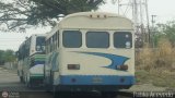 CA - Asociacin Coop. El Trigal R.L. 13 Blue Bird Convencional No Integral Ford F-650