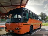 Santa Elena Express 119