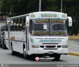 Cooperativa Canaima 12