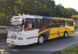 Transporte Colectivo Camag 55