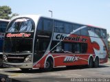 Nueva Chevallier (T.A. Chevallier) 8111, por Alfredo Montes de Oca