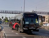 Transportes Marver S.A.C. (Per) 818, por Leonardo Saturno