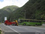 En Chiveras Abandonados Recuperacin oc067