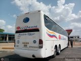 Expresos Occidente 482