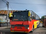 Transporte Bonanza 19