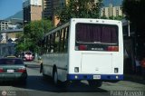 Sin identificacin o Desconocido 0262