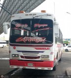 Expresos La Gran Colombia 38, por El Niobuses