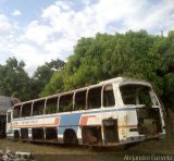 En Chiveras Abandonados Recuperacin 2910 Mercedes-Benz Integral O-302 Mercedes-Benz O-355