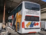 Cruceros Oriente Sur 111