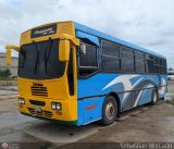 ZU - Colectivos Concepcin 039