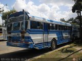 Transporte Colectivo Palo Negro 049, por Alfredo Montes de Oca