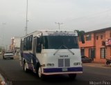 AN - Cooperativa de Transporte Sol de Guanipa 018, por M�guel Pino
