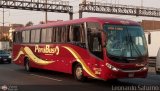 Empresa de Transporte Per Bus S.A. 364