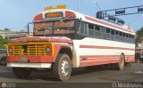 Colectivos Tul C.A. 01, por El Niobuses