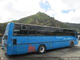 Expresos Los Andes 03 CAndinas - Carroceras Andinas U1300 Pegaso 5036