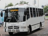 A.C. Transporte Paez 033