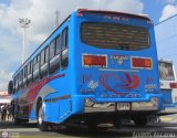 Particular 005, por Andrs Ascanio