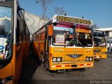 Micros Amarillas 329 Metalpar Petrohu Mercedes-Benz OF-1115
