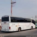 Particular 953, por Leonardo Saturno