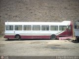 En Chiveras Abandonados Recuperacin 15 Leyland National Mark I Leyland 510