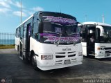 Organizacin Guaicamacuto 193