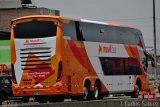 Mvilbus 7016 Modasa Zeus 4 Man 26.430