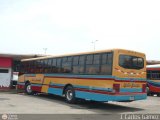 Expresos Valle Guanape 14 Encava E-NT3300  