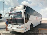 Expresos Occidente 482