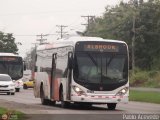 Metrobús Panamá